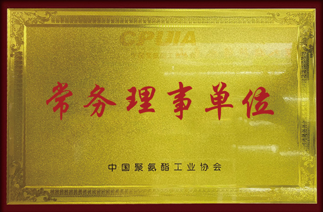 中國聚氨酯工業(yè)協(xié)會(huì)常務(wù)理事單位