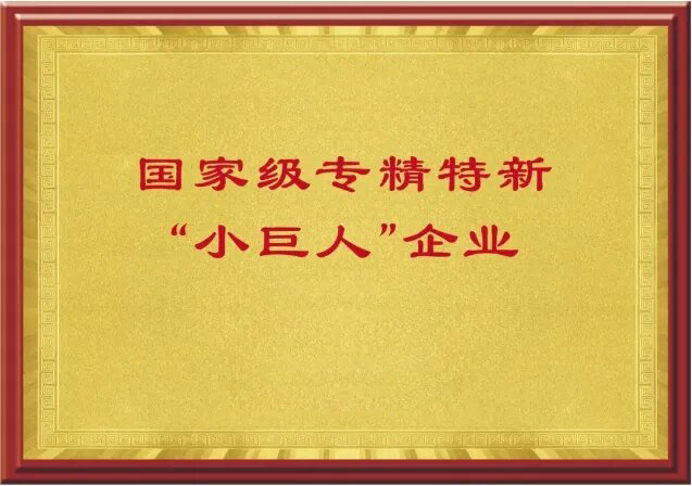 國家級(jí)專精特新“小巨人”企業(yè)